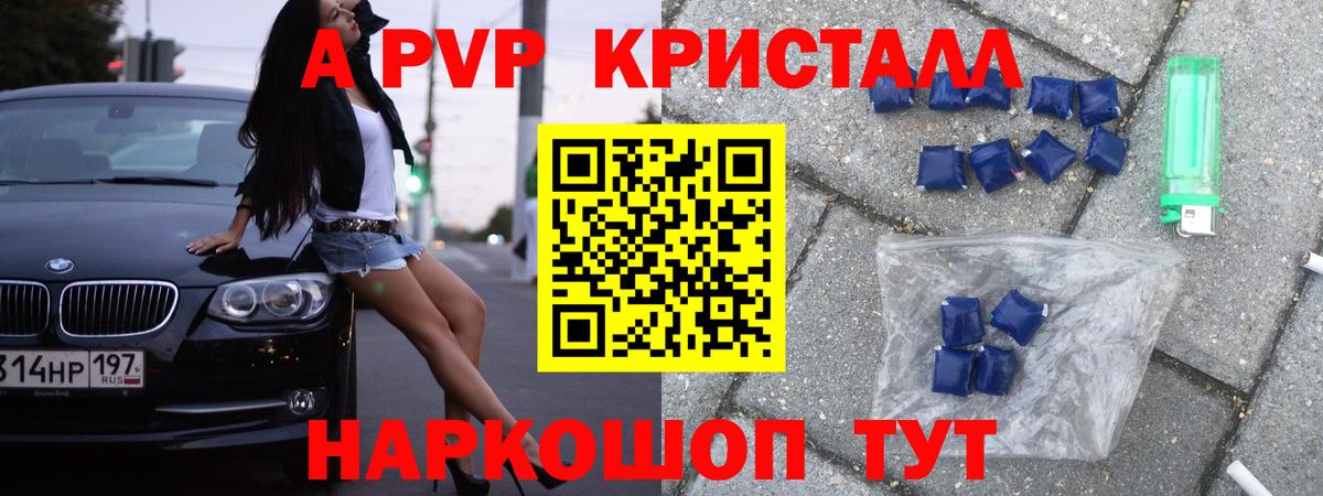 A PVP СК Новороссийск