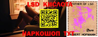 амф Гусев