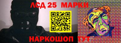 амф Гусев