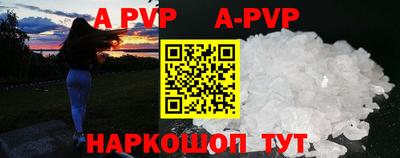 амф Гусев