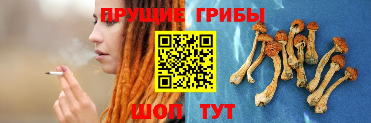 Псилоцибиновые грибы Magic Shrooms  Псилоцибиновые грибы Psilocybine cubensis  Новороссийск  Вход с VPN 